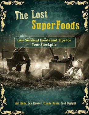 Buy Lost Superfood